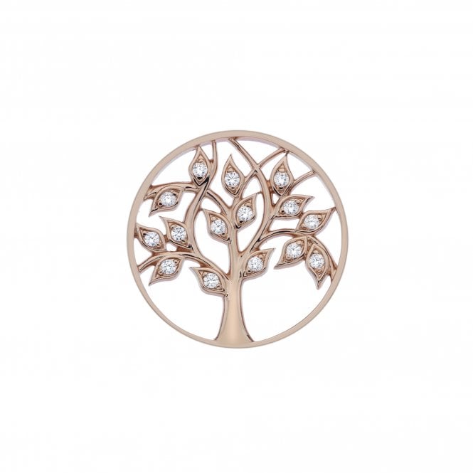 Hot Diamonds Balance And Harmony Rose Gold Plated Coin 33mm