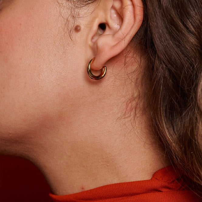 Hot Diamonds Aura Earrings