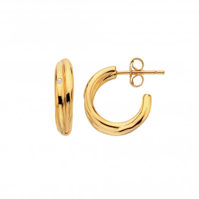 Hot Diamonds Aura Earrings