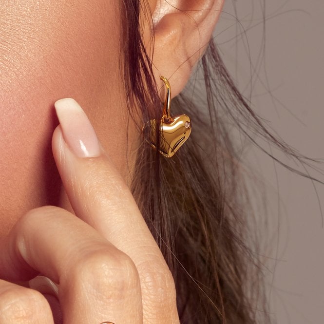 Hot Diamonds Desire Hook Earrings - YGP