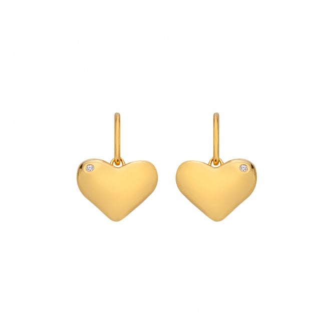 Hot Diamonds Desire Hook Earrings - YGP