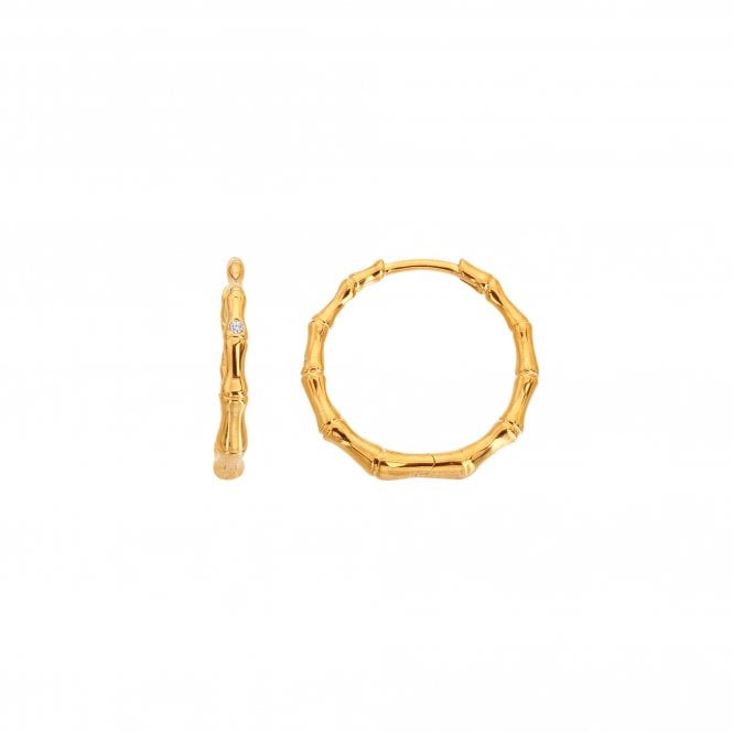 Hot Diamonds HD X GE Bondi Earrings