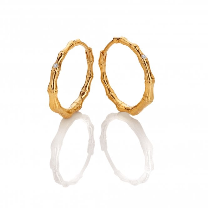 hot diamonds HD X GE Bondi Earrings