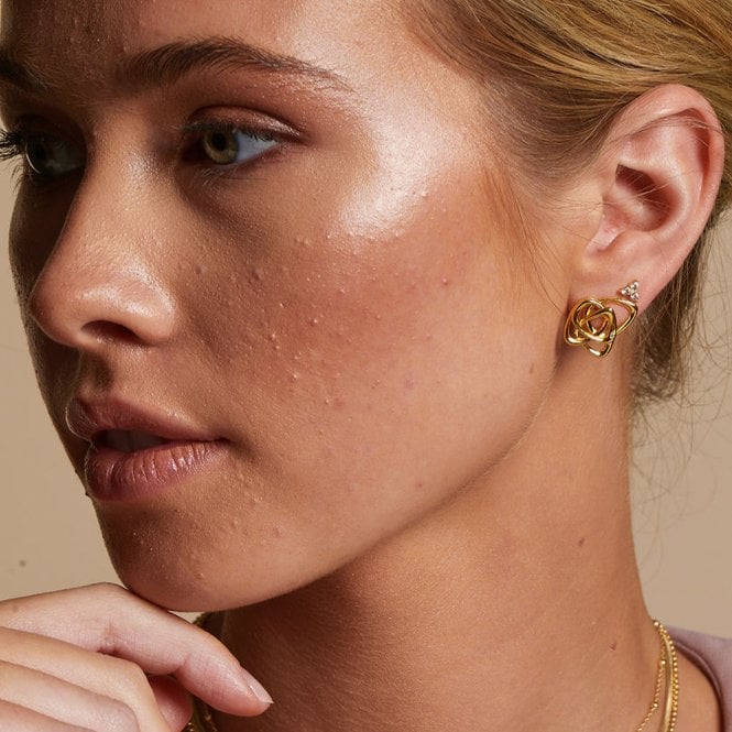 Hot Diamonds HD X GE Endless Earrings