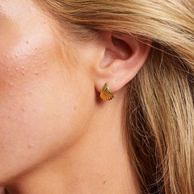 Hot Diamonds HD X GE Paris Earrings