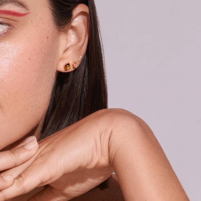 Hot Diamonds HDXGEM Square Earrings - Tigers Eye