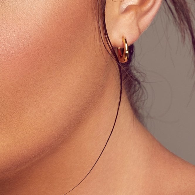 Hot Diamonds Soul Earrings