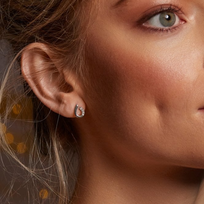 Hot Diamonds Teardrop Earrings