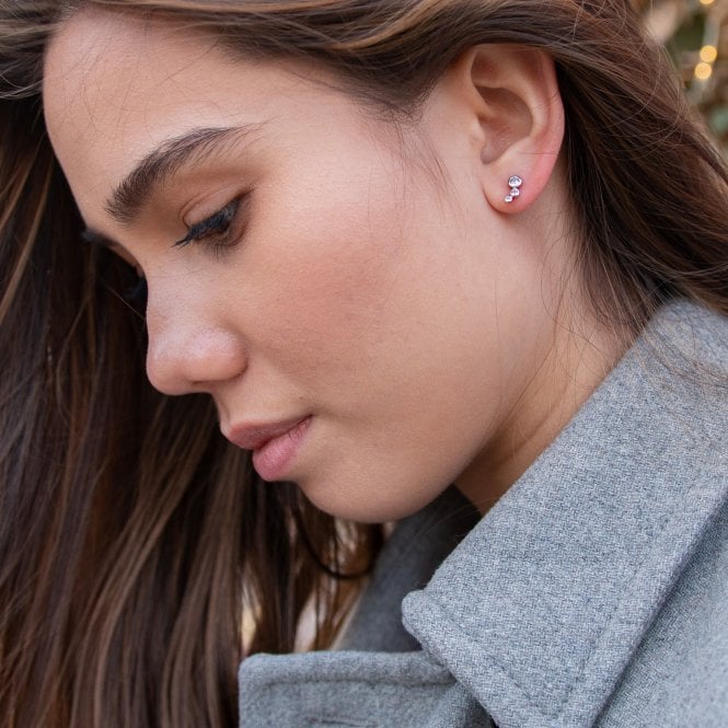 Hot Diamonds Tender Earrings