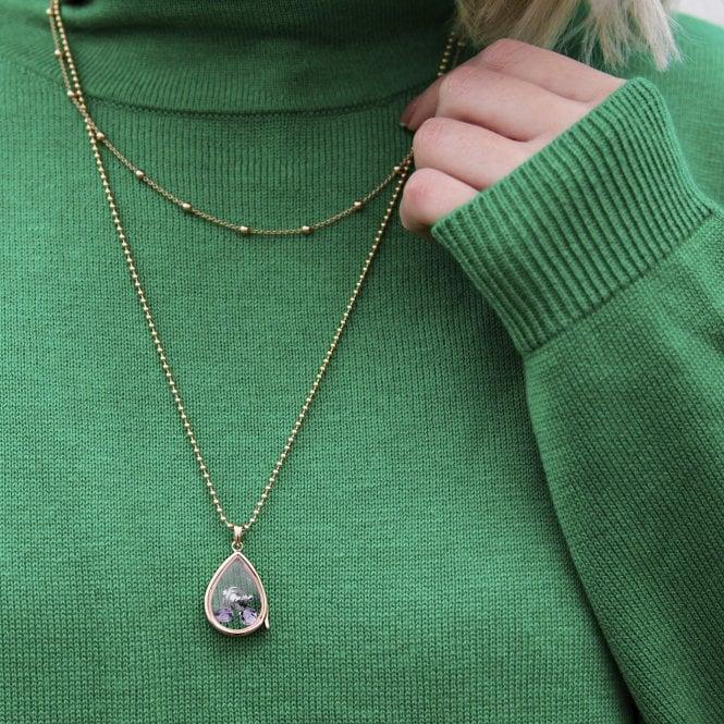 Hot Diamonds Sterling Silver Turtle With Amethyst Cabochons