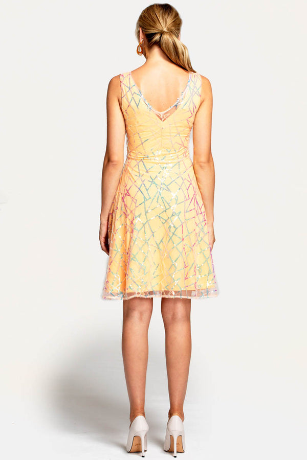 Hot Squash V Neck Embroidered Fit N Flare Dress Terracotta