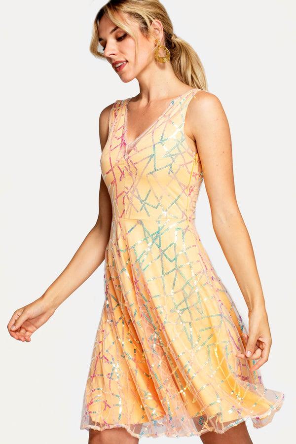 Hot Squash V Neck Embroidered Fit N Flare Dress Terracotta