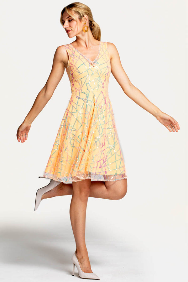 hot squash V Neck Embroidered Fit n Flare Dress Terracotta