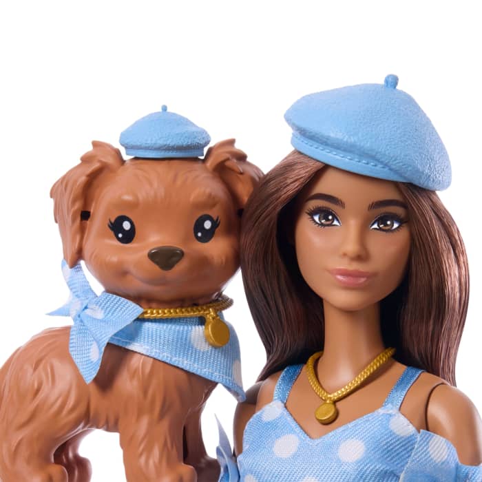 Hot Wheels Barbie Twinning Looks Fashion Doll With Pet Dog Matching Blue Clothes & Accessories Brunette