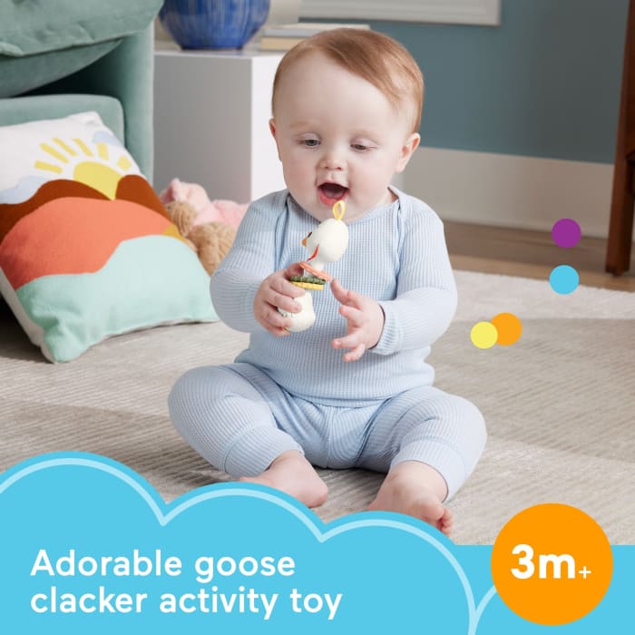 hot wheels Fisher Price Clack & Quack Goose Baby Toy With Fine Motor Activity For Newborns