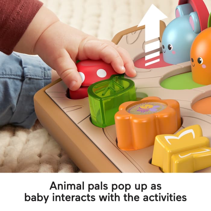 Hot Wheels Fisher-Price Hide & Peek Pop-Up Animal-Themed Baby Sensory Activity Toy With Wood & Sounds
