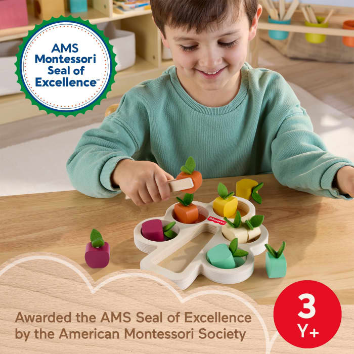 hot wheels Fisher-Price Montessori Wooden Sorting Tree Learning Toy & Play Tips For Toddlers 12 Wood Pieces