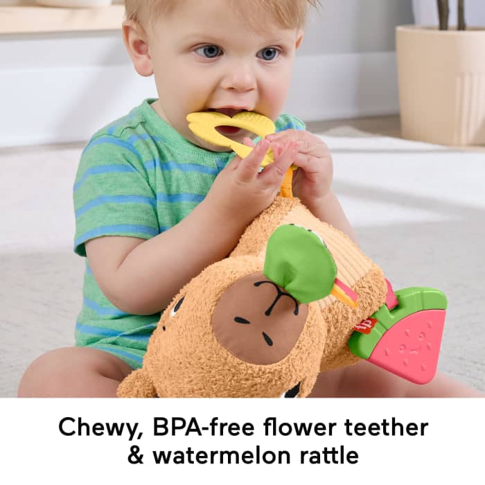 Hot Wheels Fisher-Price Snuggly Snacky Capybara Plush Baby Sensory Toy With Teether & Rattle For Newborns