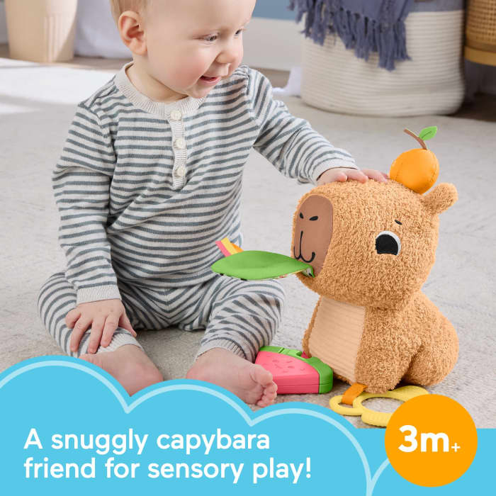 hot wheels Fisher-Price Snuggly Snacky Capybara Plush Baby Sensory Toy With Teether & Rattle For Newborns