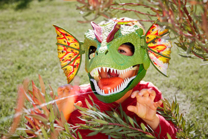 hot wheels Jurassic World Dilophosaurus Role Play Mask With Sound & Water-Shooting Feature Frill