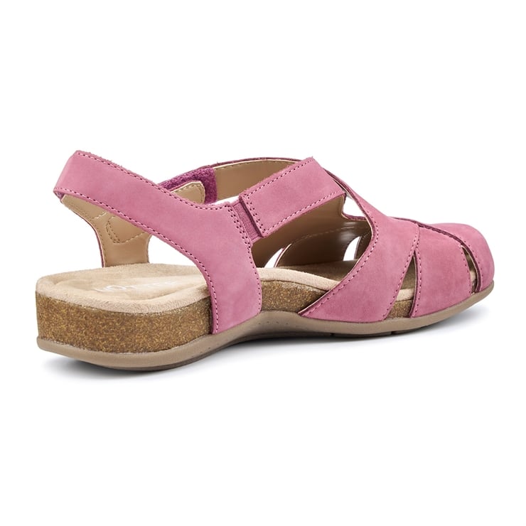 Hotter Catskill II Sandals Dark Rose
