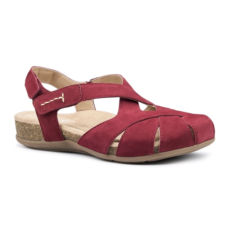Hotter Catskill II Sandals Maroon