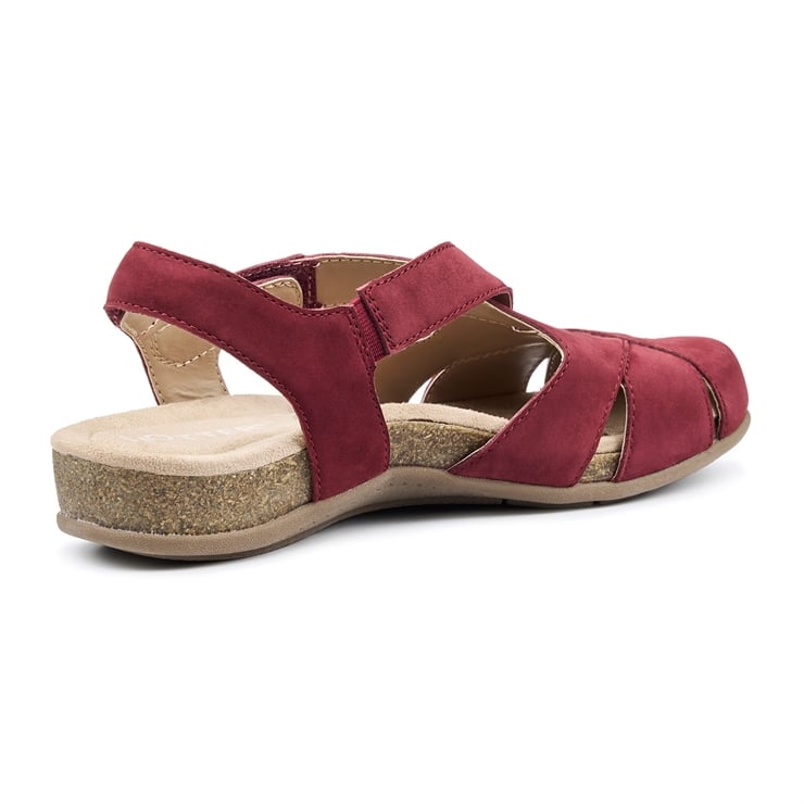 Hotter Catskill II Sandals Maroon