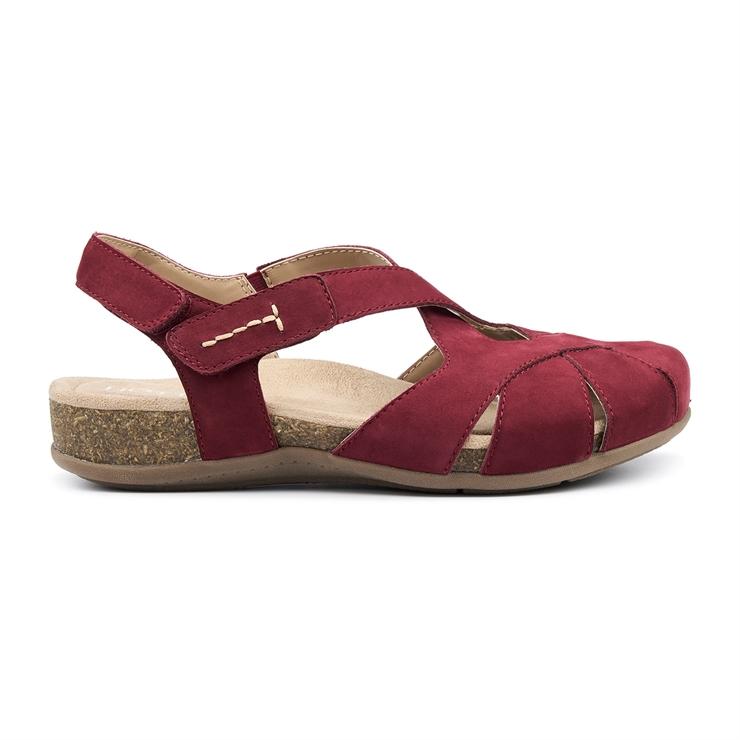 hotter Catskill II Sandals Maroon