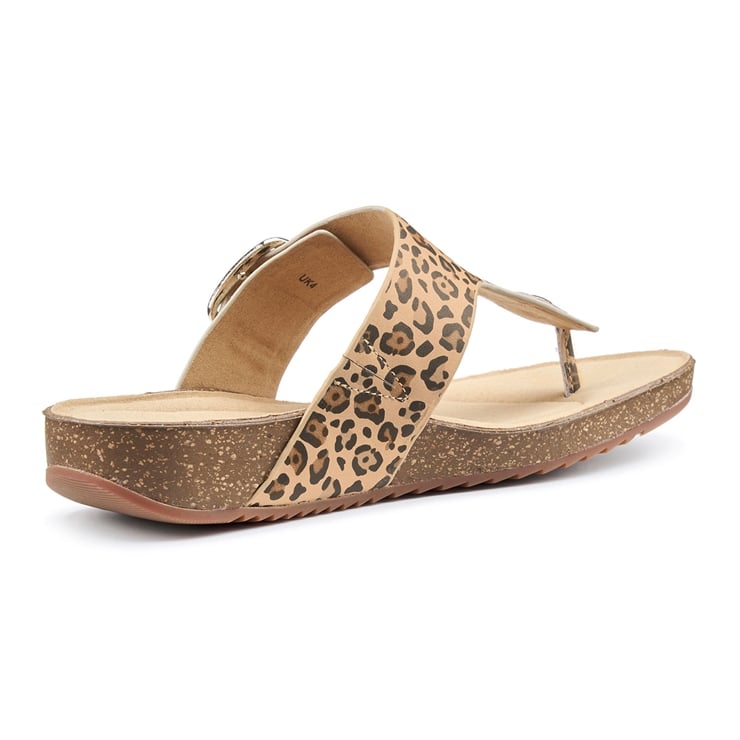 Hotter Resort Sandals Leopard