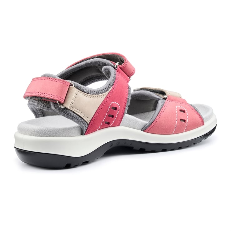 Hotter Walk II Sandals Tea Rose Multi
