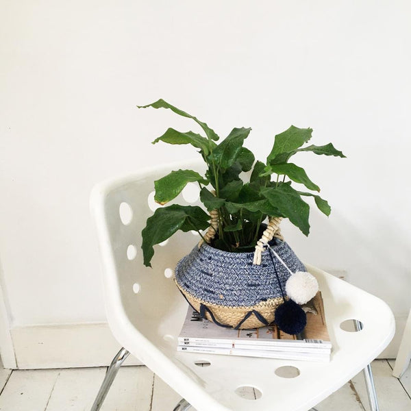 house of disaster Blue Zig Zag Rope Basket