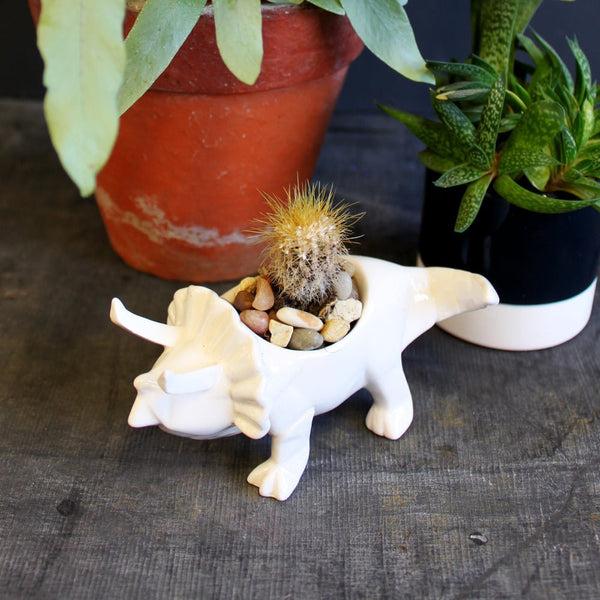 House Of Disaster Origami White Egg Cup