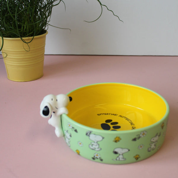 House Of Disaster Peanuts Dog Bowl