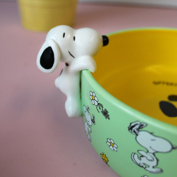 House Of Disaster Peanuts Dog Bowl