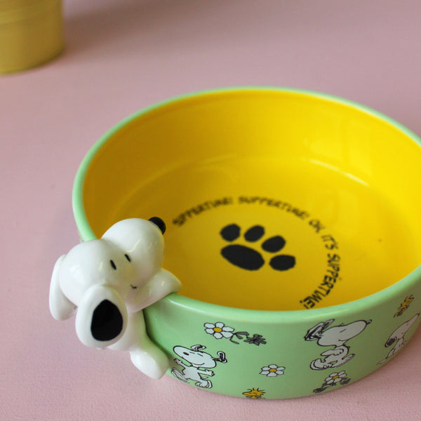 House Of Disaster Peanuts Dog Bowl