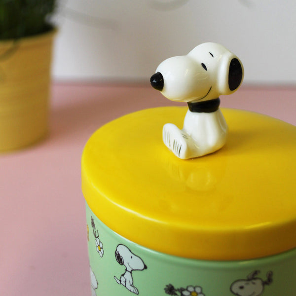 House Of Disaster Peanuts Dog Treat Jar