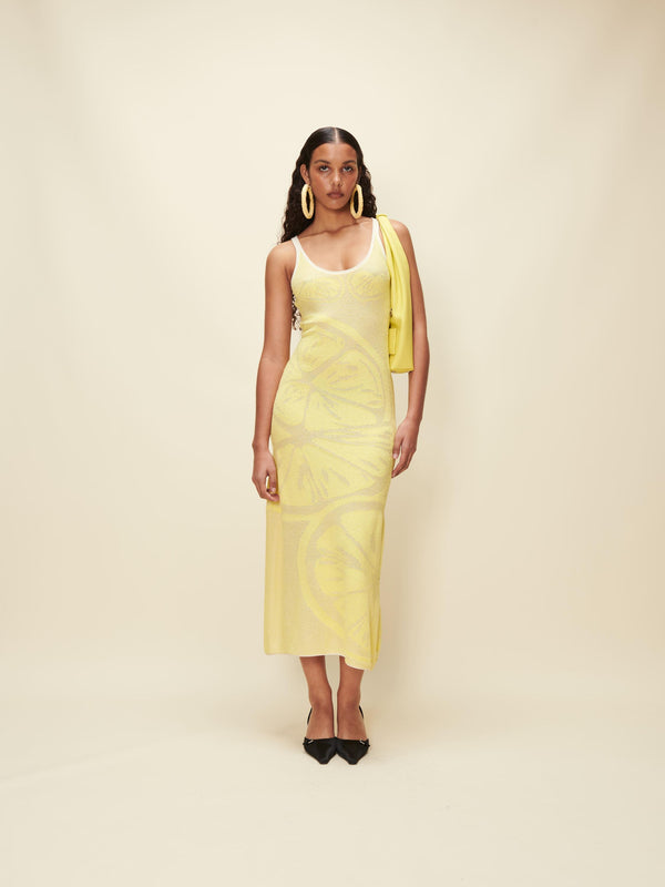 House Of Sunny LEMONS ON A PLATE HOCKNEY