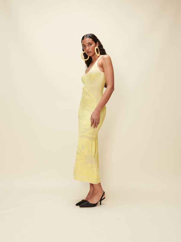 House Of Sunny LEMONS ON A PLATE HOCKNEY