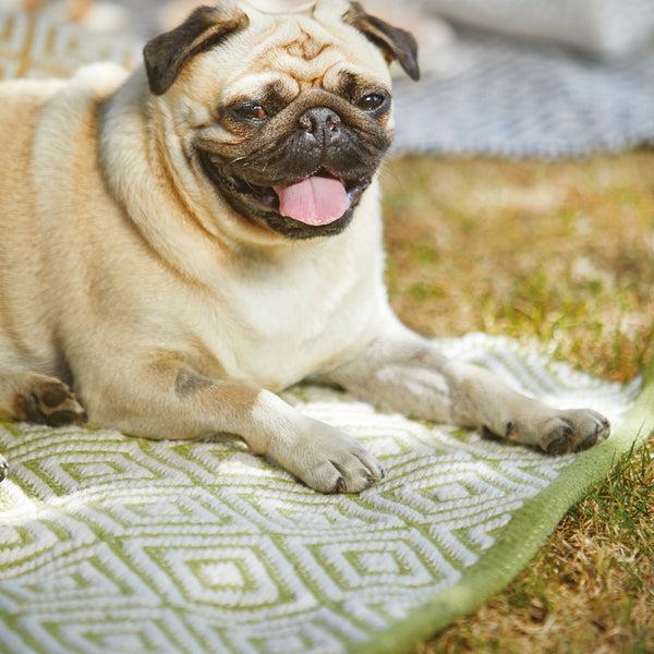 Hug Rug Diamond Washable Rug Green