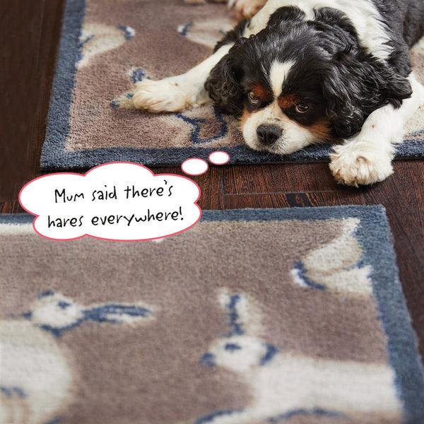 Hug Rug Hare 1 Brown Washable Doormat