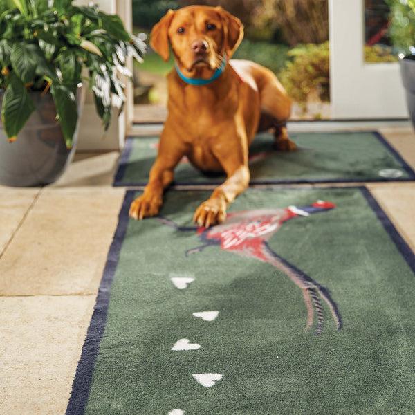 Hug Rug Pheasant Green 2 Washable Doormat