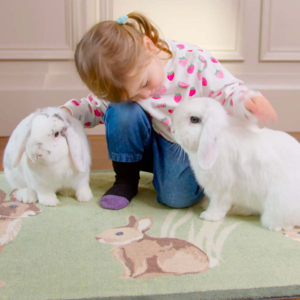 Hug Rug Rabbit 1 Green Washable Doormat