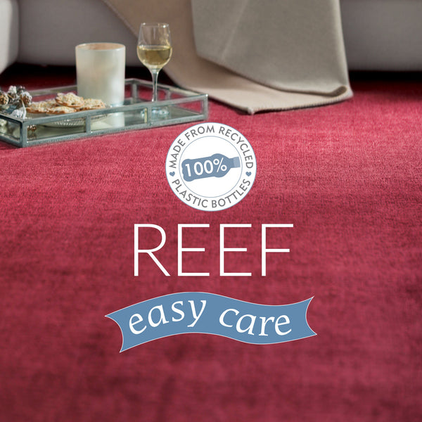 Hug Rug Reef Rug Raspberry