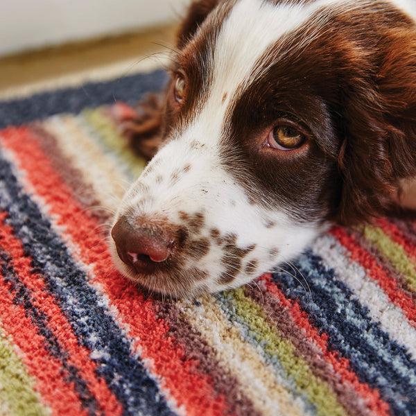 Hug Rug Stripe 32 Multi Washable Doormat