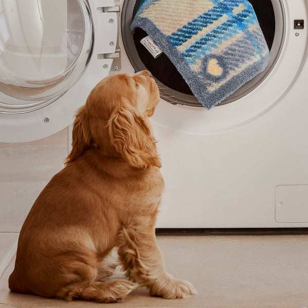 Hug Rug Tartan Blue Washable Doormat