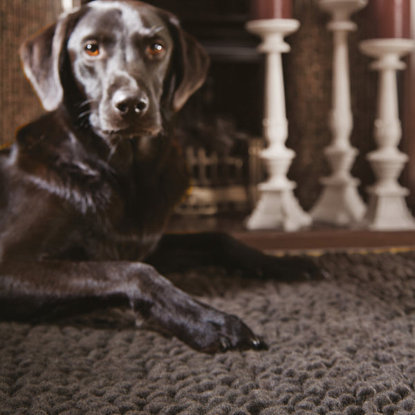 Hug Rug Union Rug Fossil