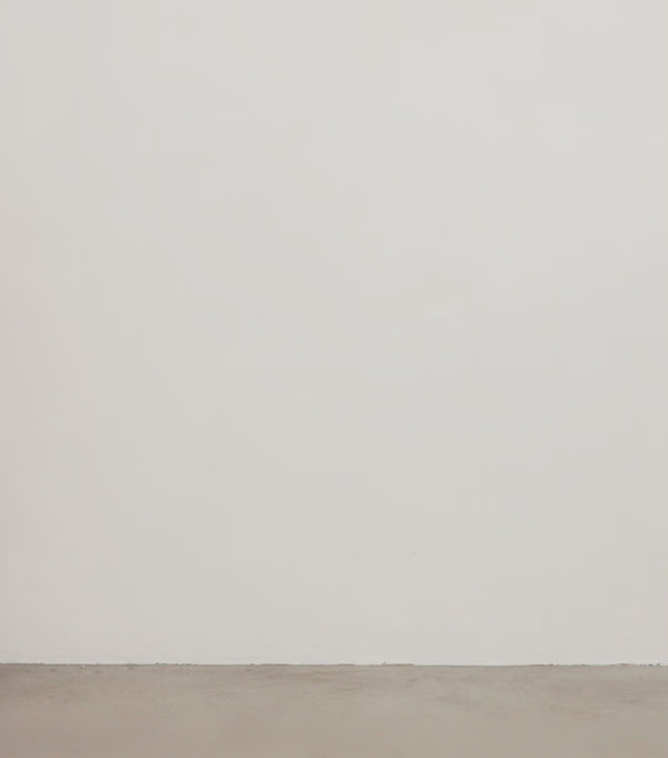 Hunza G Juno Bikini Metallic Chocolate