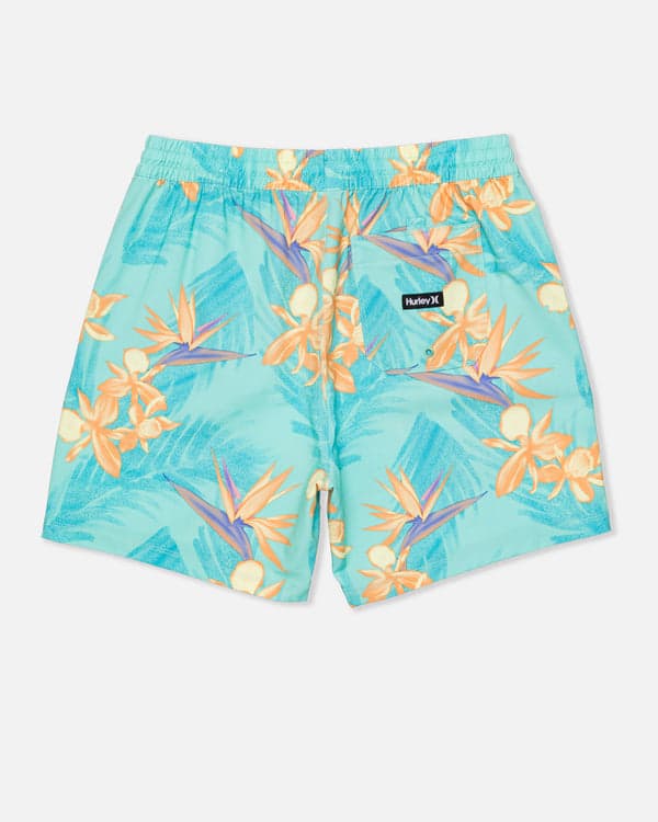 Hurley Cannonball Volley Boardshort 17" Tropical Mist 2