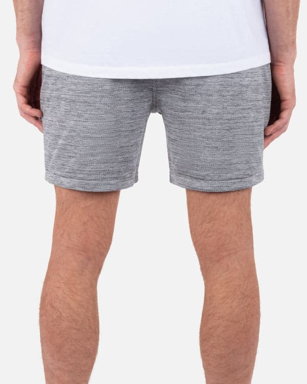 Hurley H2O Dri Daybreak Short Stone Grey