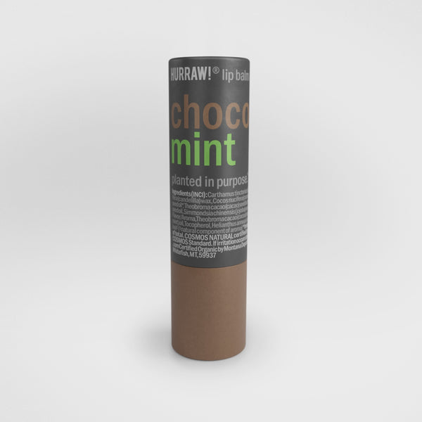 Hurraw Balm Choco & Mint Lip Balm